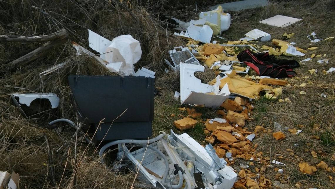 Urokliwy zakątek zamieniono w śmietnisko