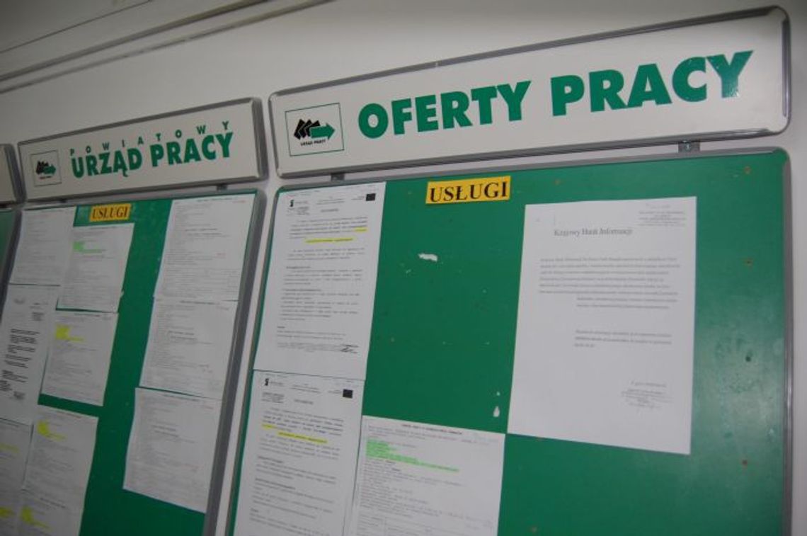 Urząd Pracy się tłumaczy: To nie my stwarzamy miejsca pracy... Urząd Pracy się tłumaczy: To nie my stwarzamy miejsca pracy...