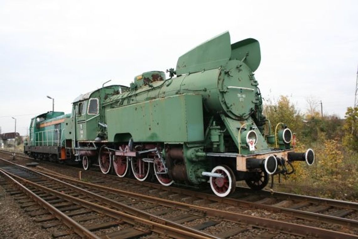 Uszatek o wadze 100 ton w Centrum Wystawienniczym Uszatek o wadze 100 ton w Centrum Wystawienniczym