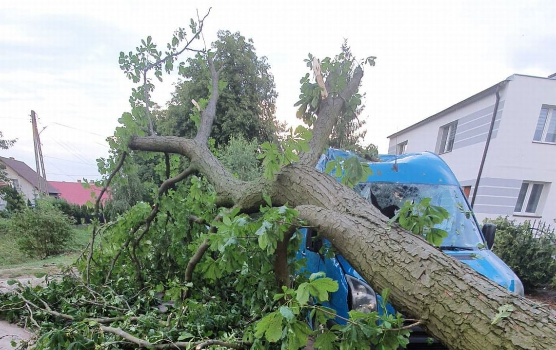 Uszkodzone dachy, samochody, powalone drzewa... Nawałnica z ulewnymi burzami z gradem przeszła przez Kociewie