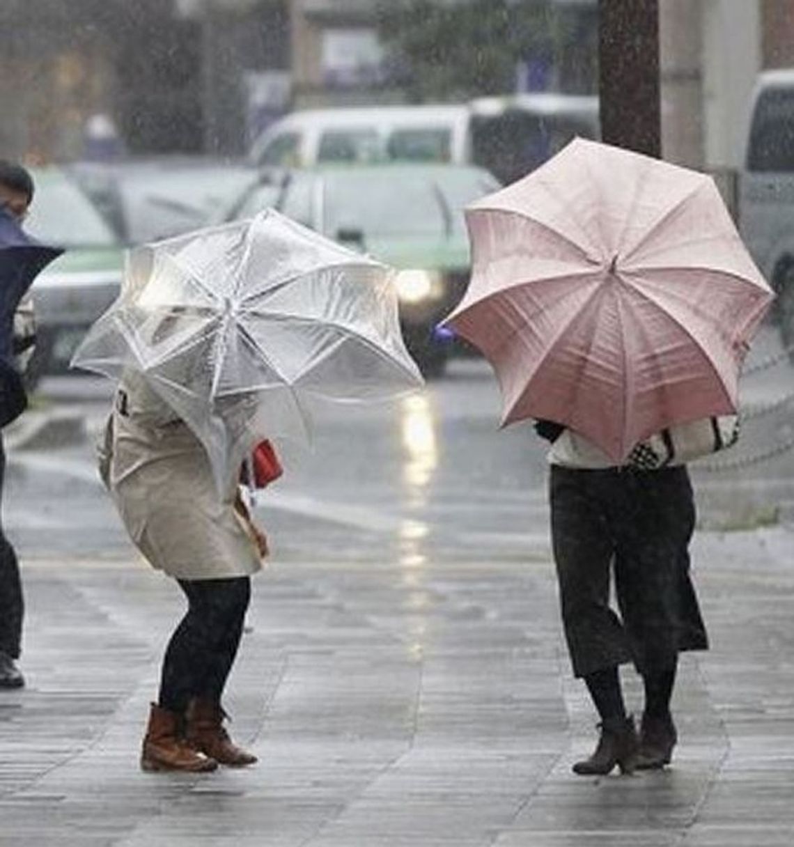 Uwaga na silny wiatr. Wichury nie tylko w nocySynoptycy z Biura Meteorologicznych Prognoz Morskich w Gdyni ostrzegają przed silnym wiatrem. Zjawisko spodziewane jest 27 grudnia na terenie woj. pomorskiego. Uwaga na silny wiatr. Wichury nie tylko w nocySynoptycy z Biura Meteorologicznych Prognoz Morskich w Gdyni ostrzegają przed silnym wiatrem. Zjawisko spodziewane jest 27 grudnia na terenie woj. pomorskiego.