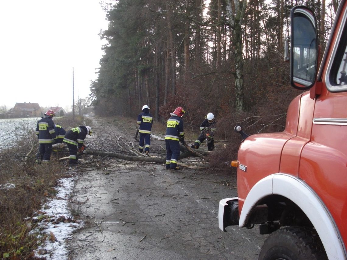 Uwaga: Orkan Aleksandra - drugi stopień zagrożenia w pomorskim