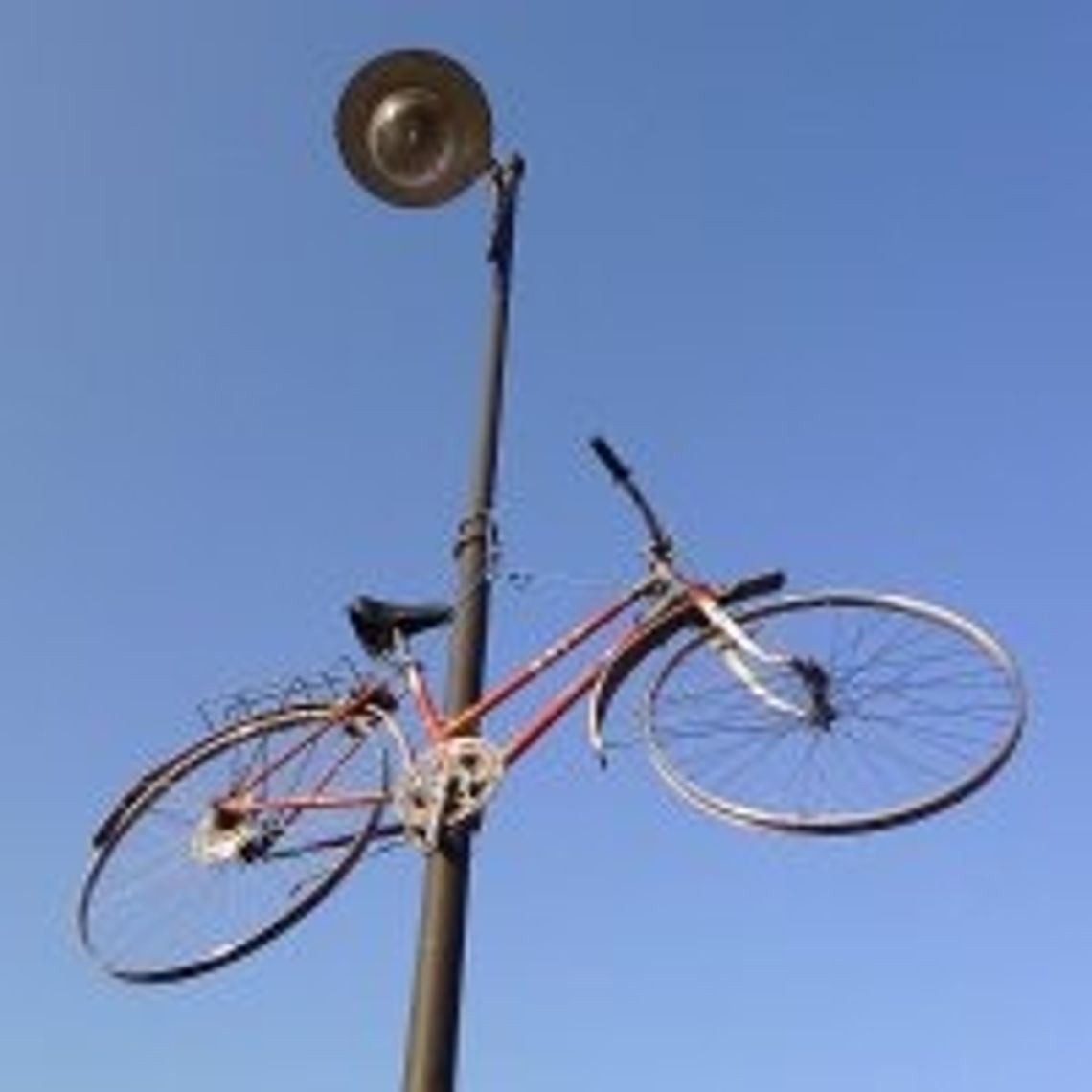 Uwolnij rower na święta! Pomóż współtworzyć rowerową choinkę