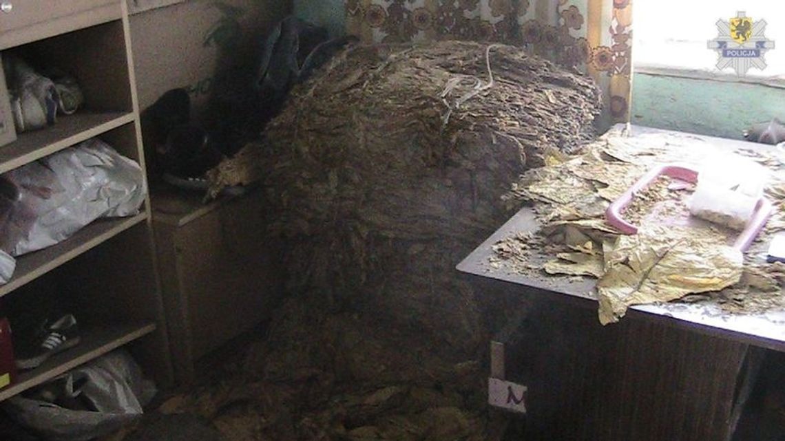 Używkowa grupa przestępcza za kratkami