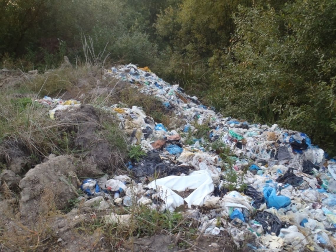 VIDEO: Po naszych publikacjach - TVP Gdańsk w Sucuminie VIDEO: Po naszych publikacjach - TVP Gdańsk w Sucuminie