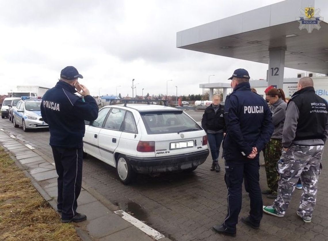 W bagażniku w klatkach trzymał psy i koty