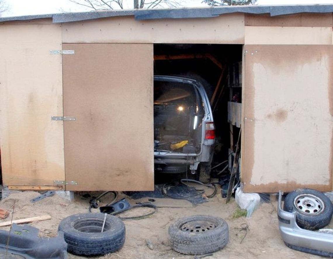W dziupli rozkręcał skradzione auto W dziupli rozkręcał skradzione auto