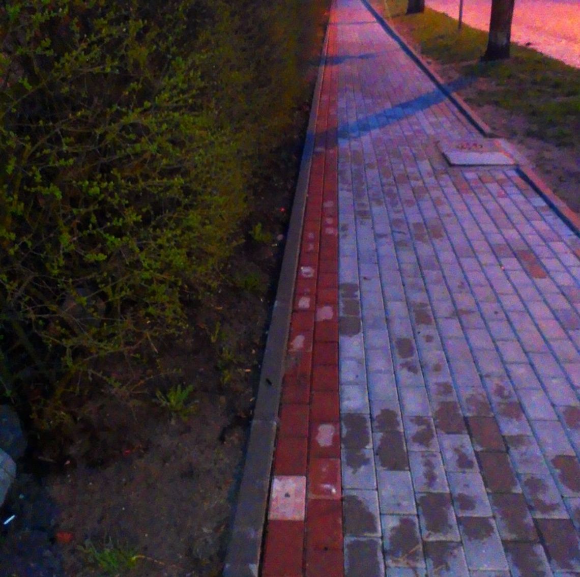 W Gniewie powstała najwęższa ścieżka rowerowa na świecie? W Gniewie powstała najwęższa ścieżka rowerowa na świecie?