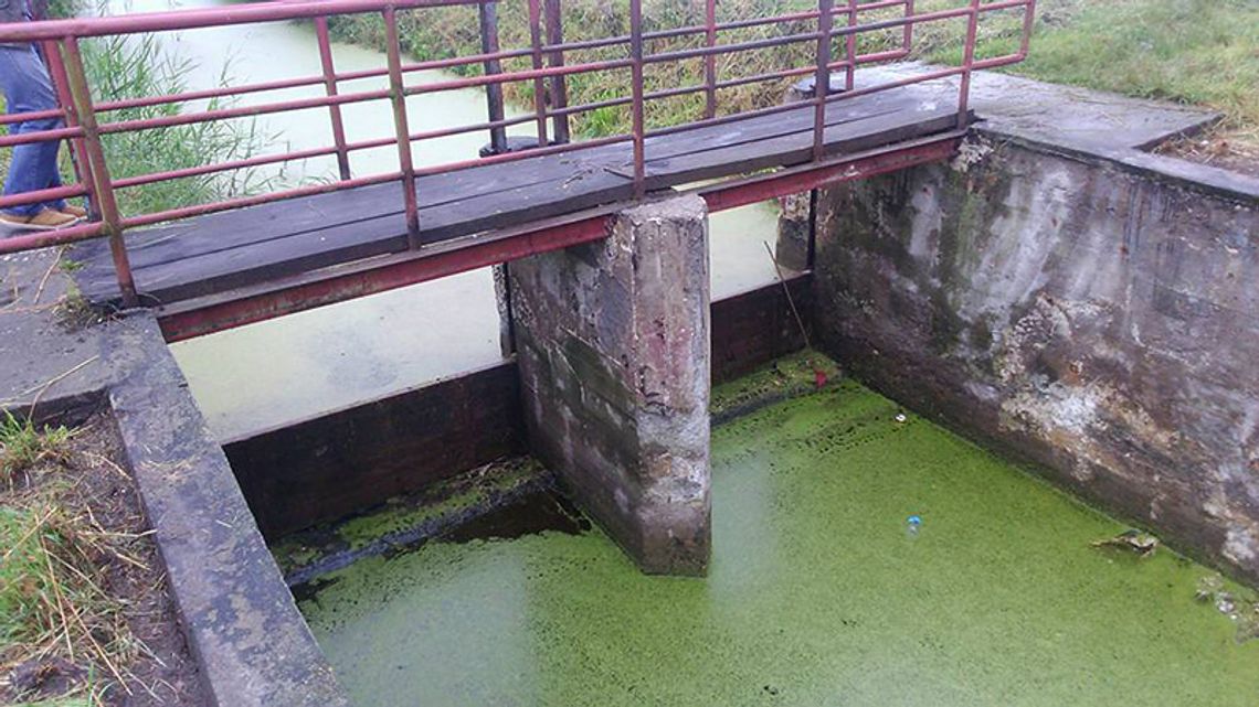 W korycie Liwy pojawi się woda W korycie Liwy pojawi się woda