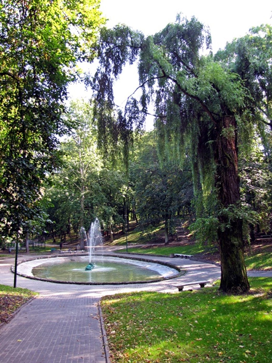 W Parku Miejskim powstanie park linowy? 