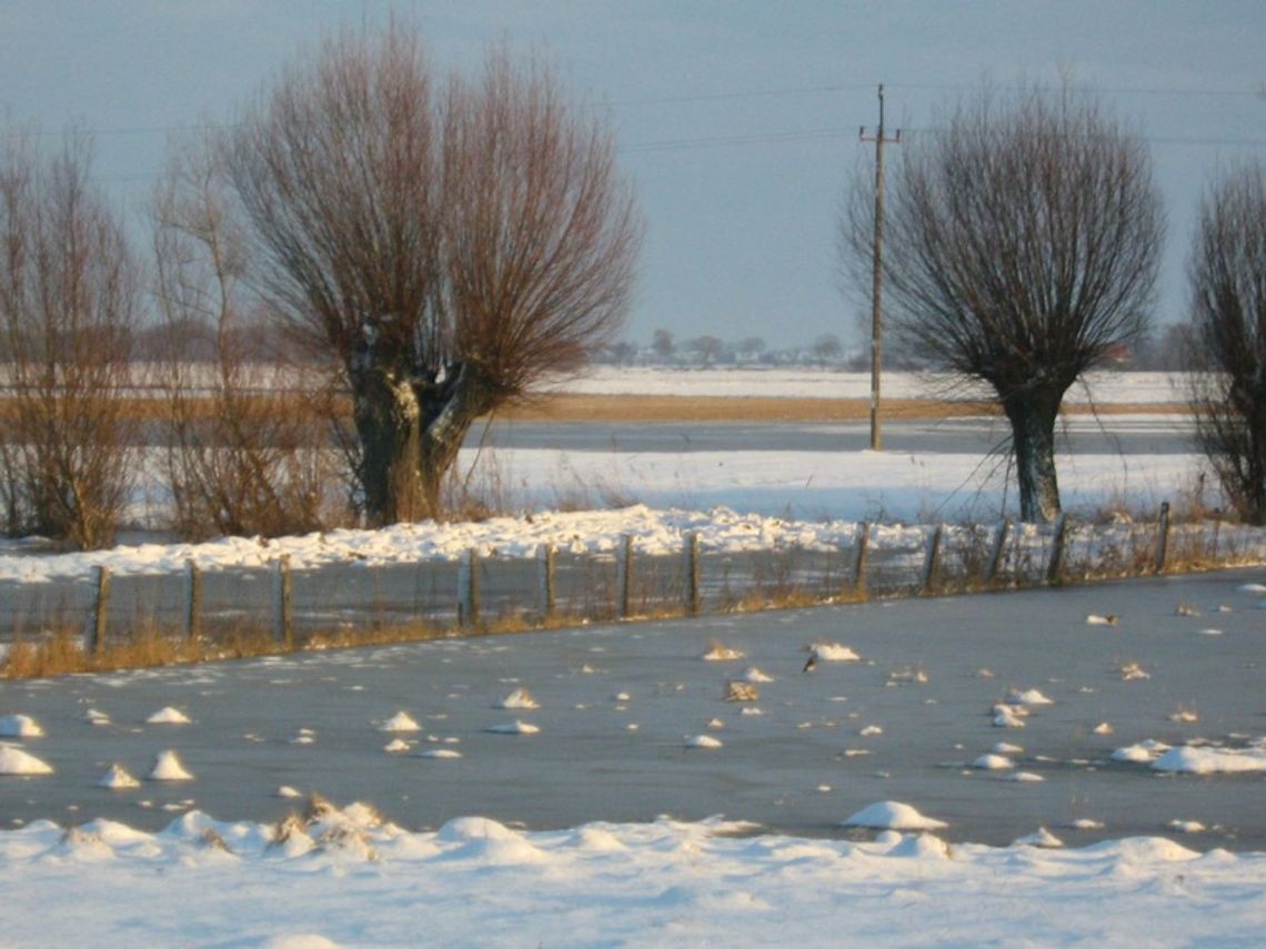 W powodzi próśb o interwencję i pomoc W powodzi próśb o interwencję i pomoc