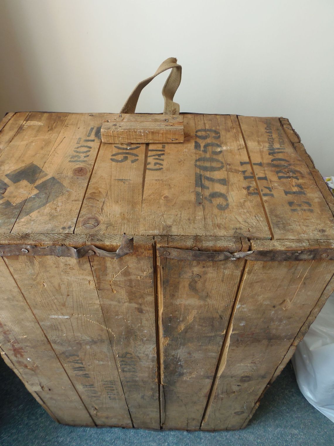 W skrzyniach ze śmietnika