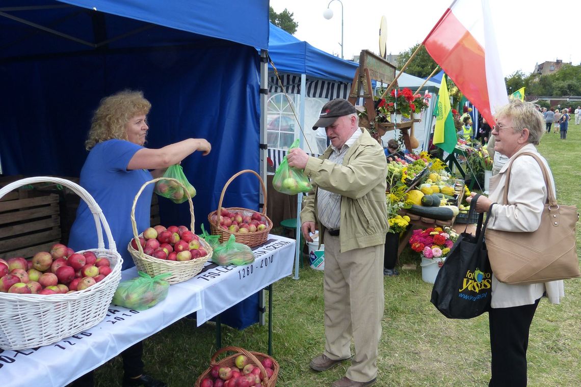 W środę rozdadzą kolejną tonę jabłek W środę rozdadzą kolejną tonę jabłek