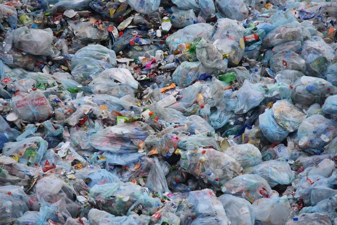 W ubiegłym roku z lasu wywieziono 94 tony śmieci. Odpadów wciąż przybywa 