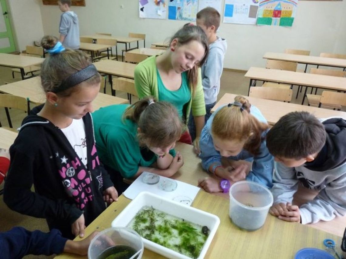 Wakacje nad wodą. Jak bezpiecznie wypoczywać na kąpielisku... Wakacje nad wodą. Jak bezpiecznie wypoczywać na kąpielisku...