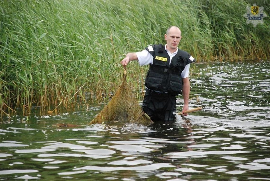 Walczą z kłusownikami