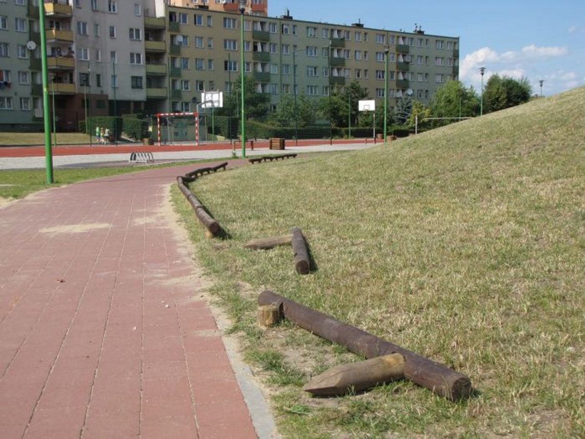 Wandale i wandaliki w niecce Wandale i wandaliki w niecce