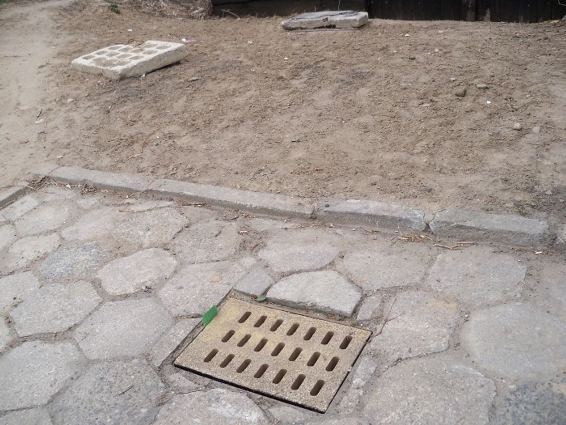 Wandale mają się dobrze