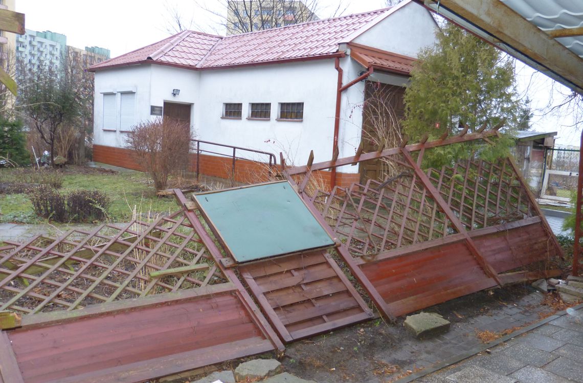 Wandale zdewastowali niepełnosprawnym ogród!