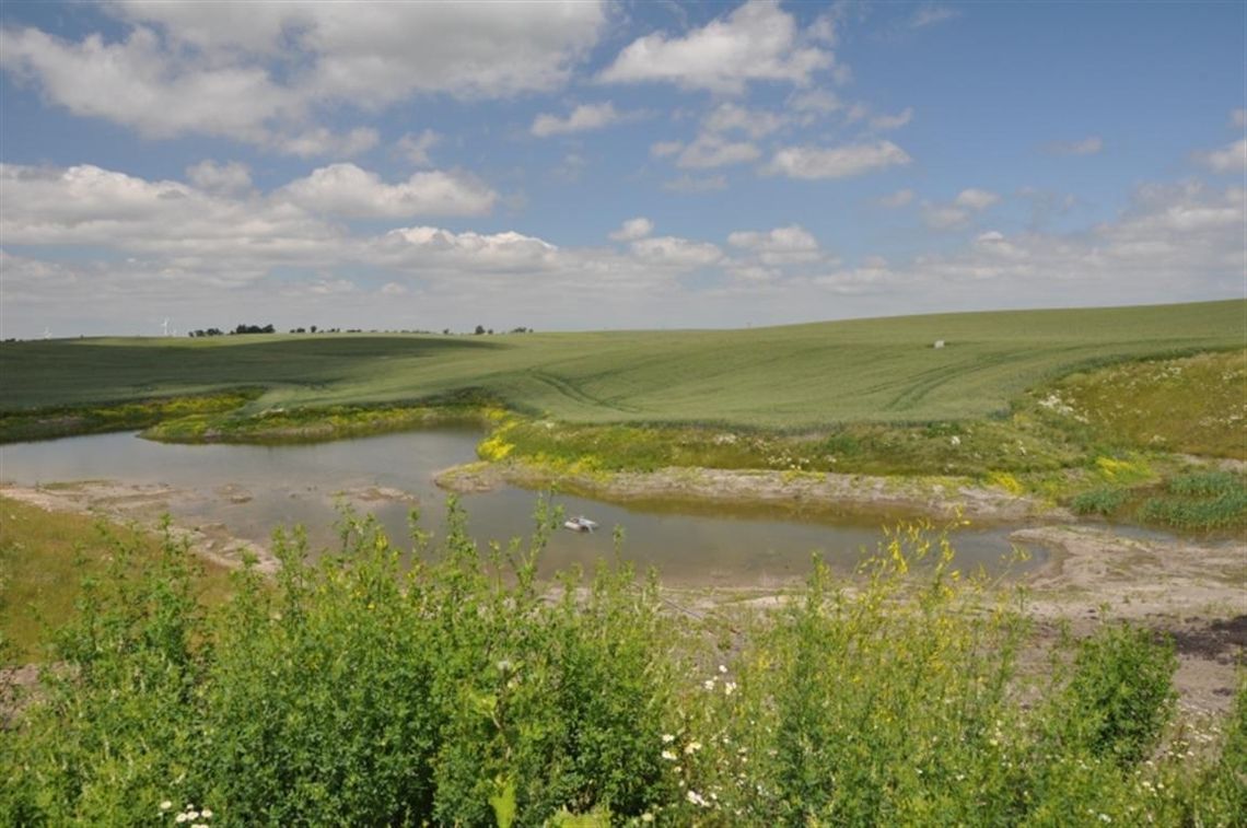 Weber przyjazny środowisku Weber przyjazny środowisku