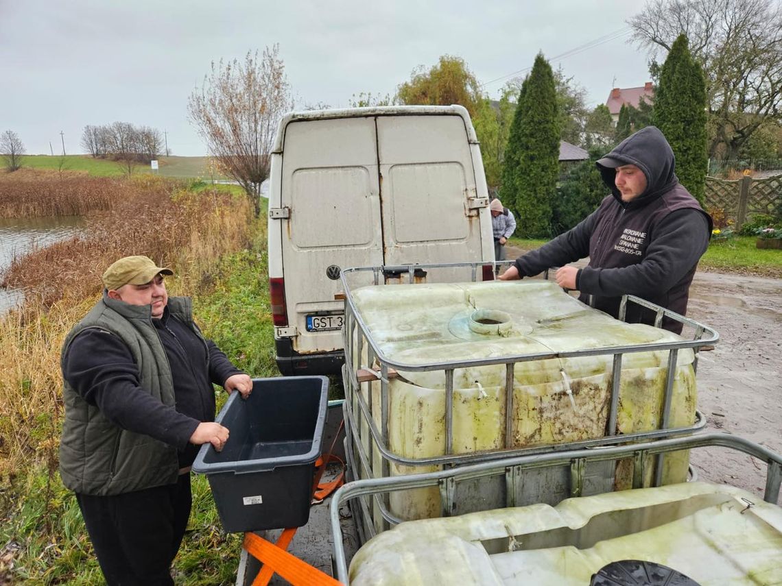 Wędkarze z Bobowa zarybiają jeziora Wędkarze z Bobowa zarybiają jeziora