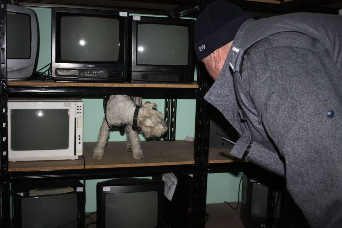 „Węszacze” w więzieniach - psy specjalne „Węszacze” w więzieniach - psy specjalne