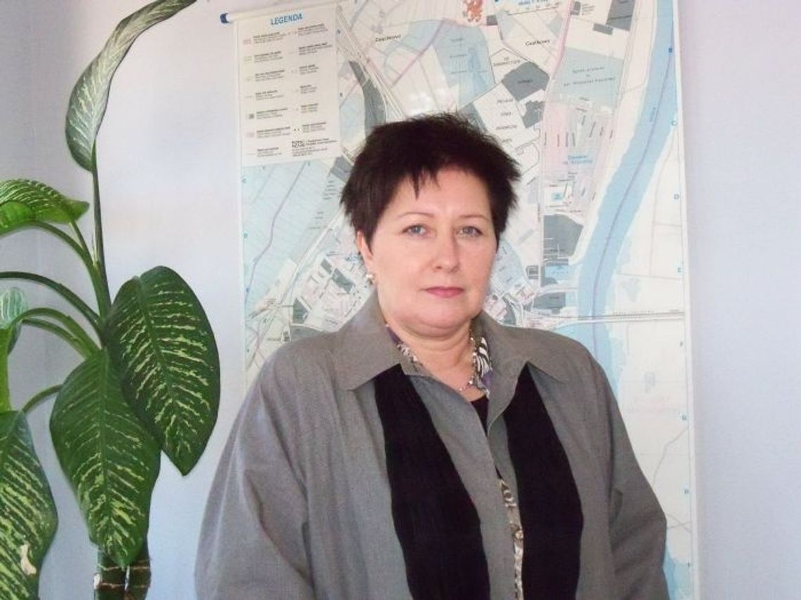 Wiadukty w stanie opłakanym