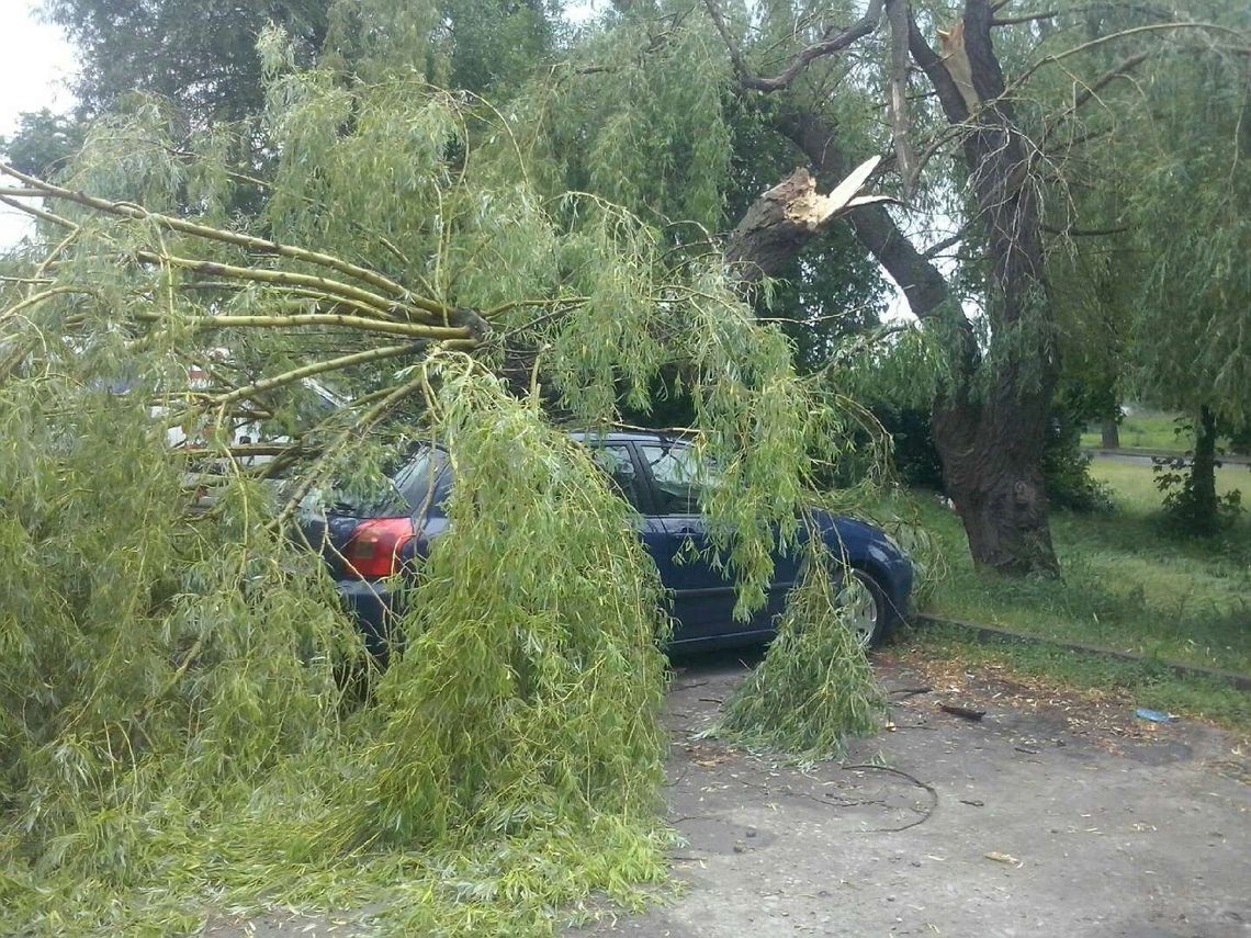 Wichura i grzmoty. Złamane drzewo spadło na auto!