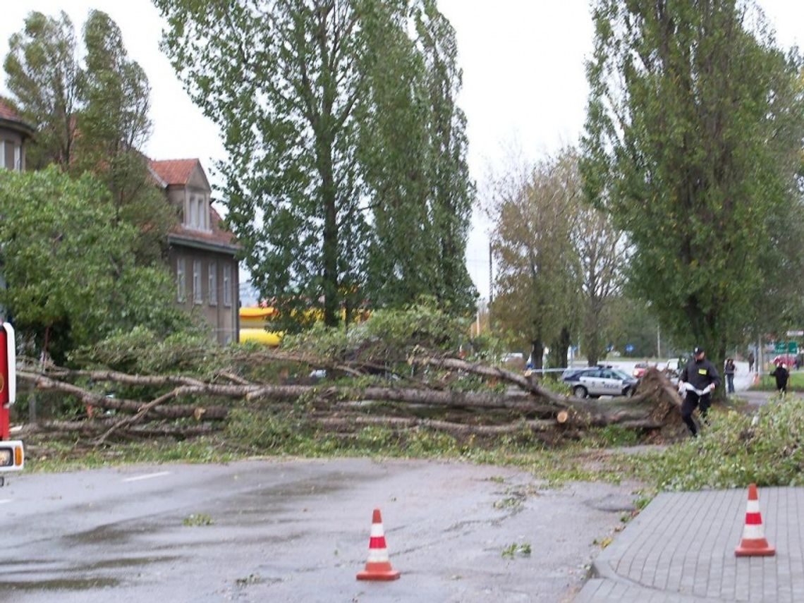 Wichura zaatakowała! Zablokowane drogi, zerwane linie energetyczne i dachy Wichura zaatakowała! Zablokowane drogi, zerwane linie energetyczne i dachy