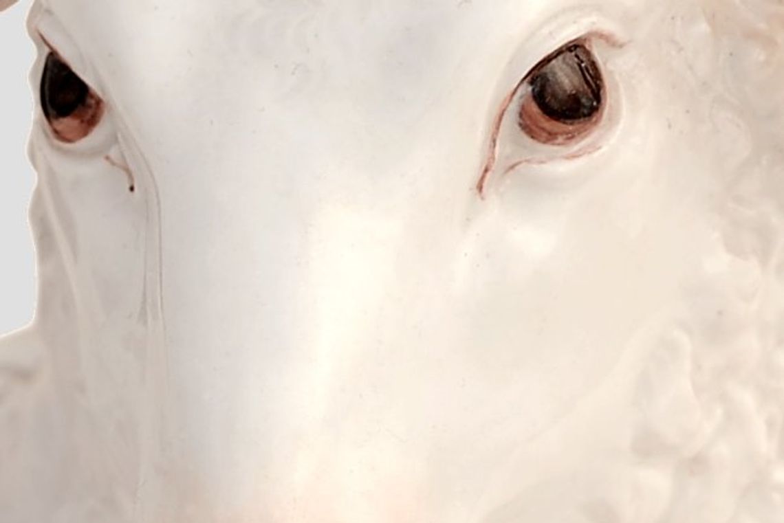 Wielkanoc w Domu Uphagena