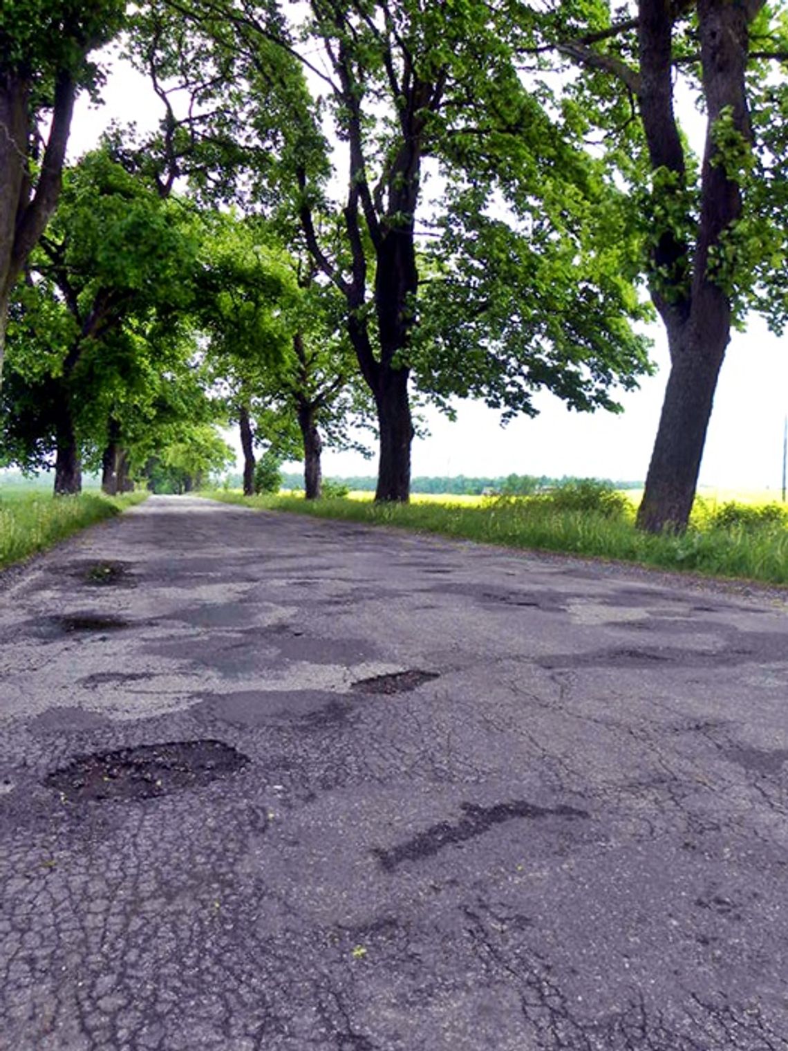 Wielkie lanie asfaltu Wielkie lanie asfaltu