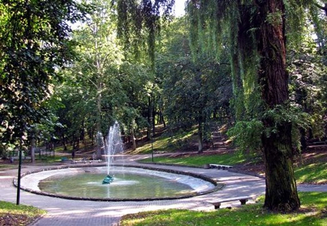 Wiemy gdzie w Tczewie będą kolejne tereny zielone Wiemy gdzie w Tczewie będą kolejne tereny zielone