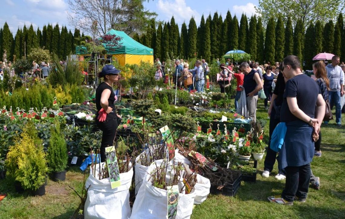 Wiosenne już w ten weekend Wiosenne już w ten weekend