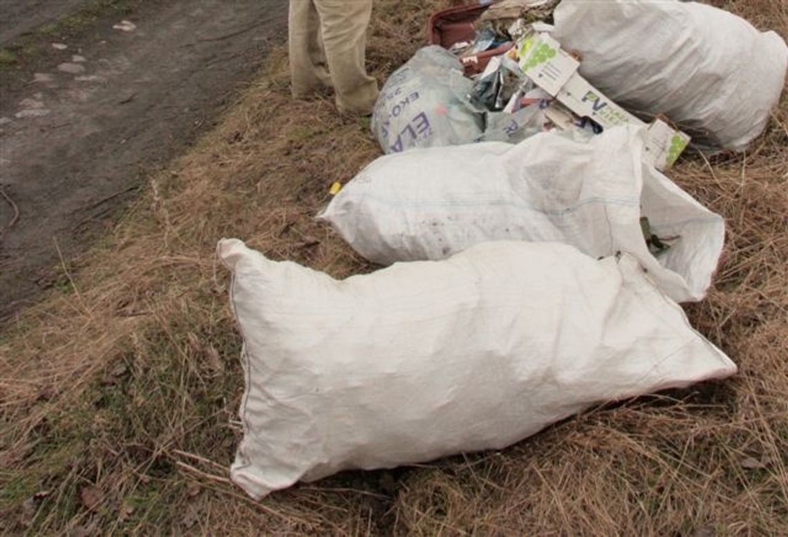 Wizytówka w podrzuconym worku - śmieciarz w lesie Wizytówka w podrzuconym worku - śmieciarz w lesie