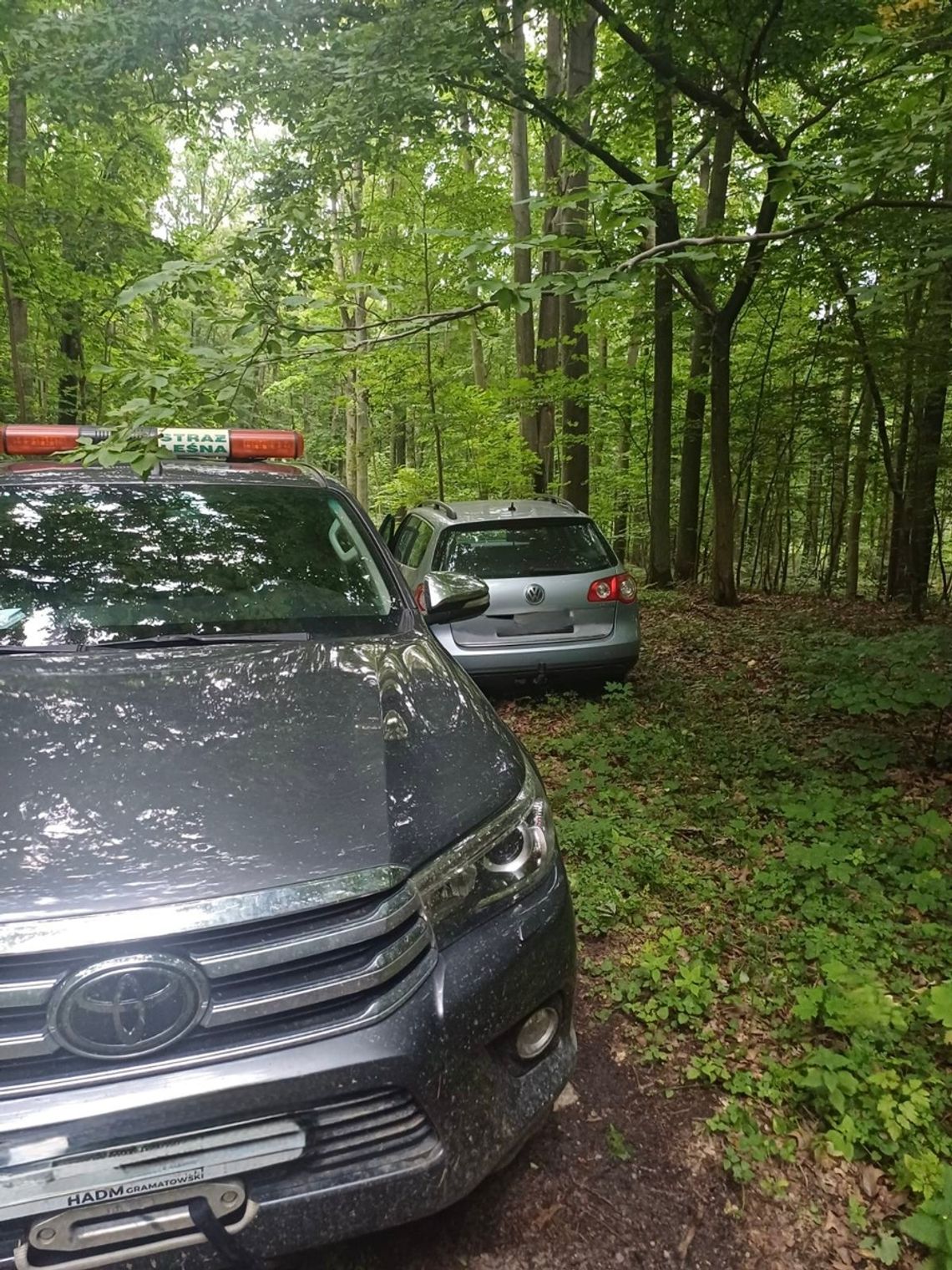 Wjechał autem do lasu i pił w nim alkohol. Śmiecił i był agresywny w stosunku do funkcjonariuszy