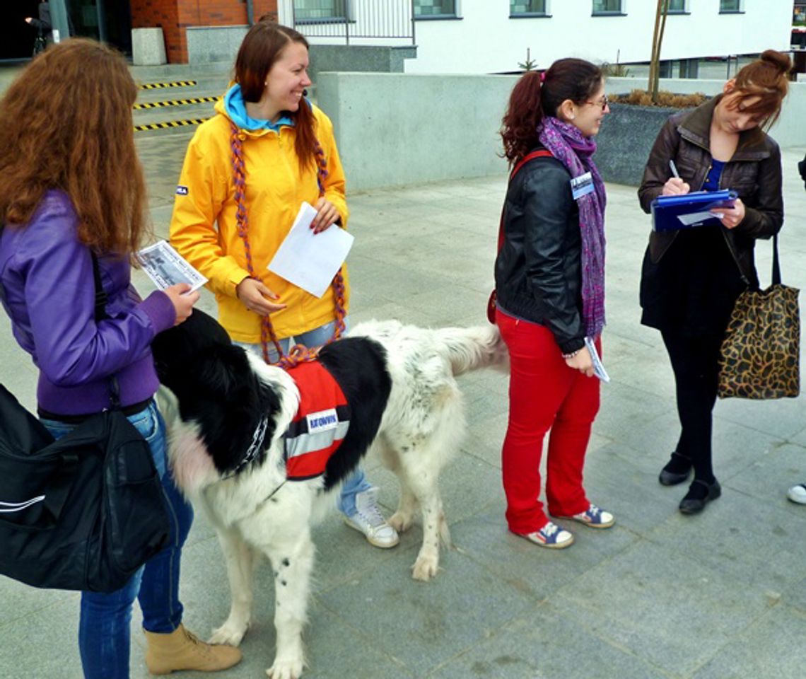 Włodarze, nie ignorujcie obywateli! Petycja za mostem