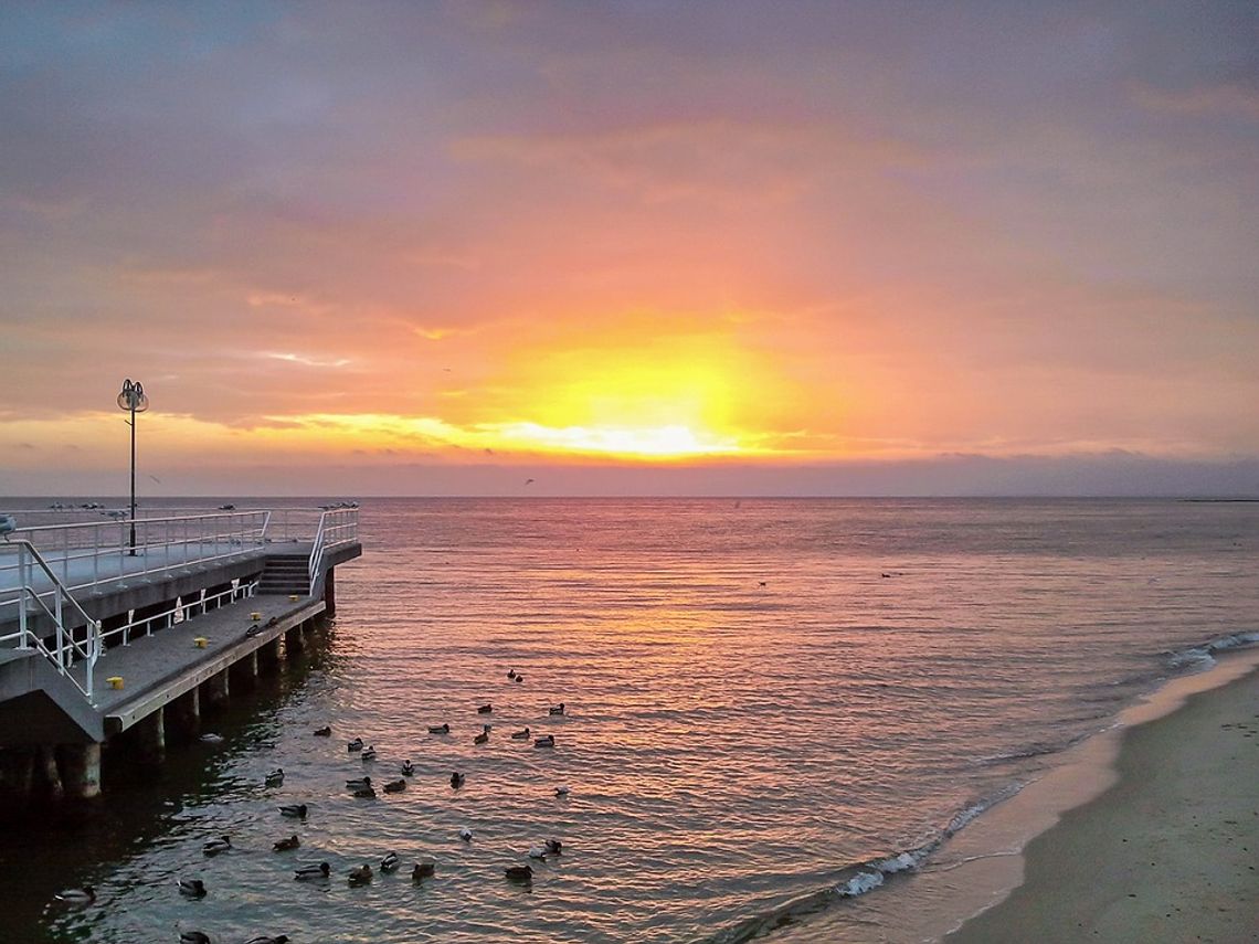 Wszystkie odcienie gdyńskiego piękna