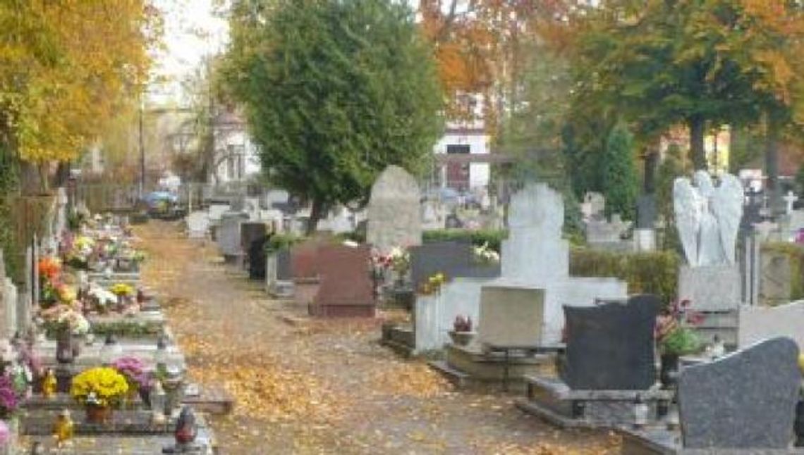 Wszystko o 1 listopada w Tczewie – komunikacja, parkingi... Wszystko o 1 listopada w Tczewie – komunikacja, parkingi...