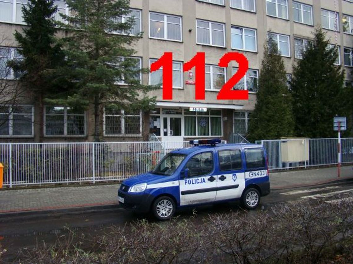 Wtargnęła na szosę. Trafiła do gdańskiego szpitala Wtargnęła na szosę. Trafiła do gdańskiego szpitala