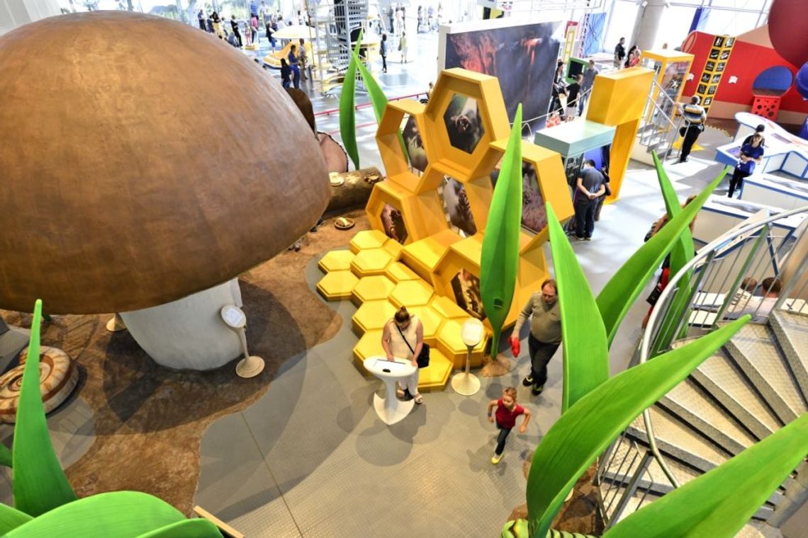 WWW w EXPERYMENCIE czyli Wakacyjne Warsztaty Weekendowe w SIERPNIU [art.spons]