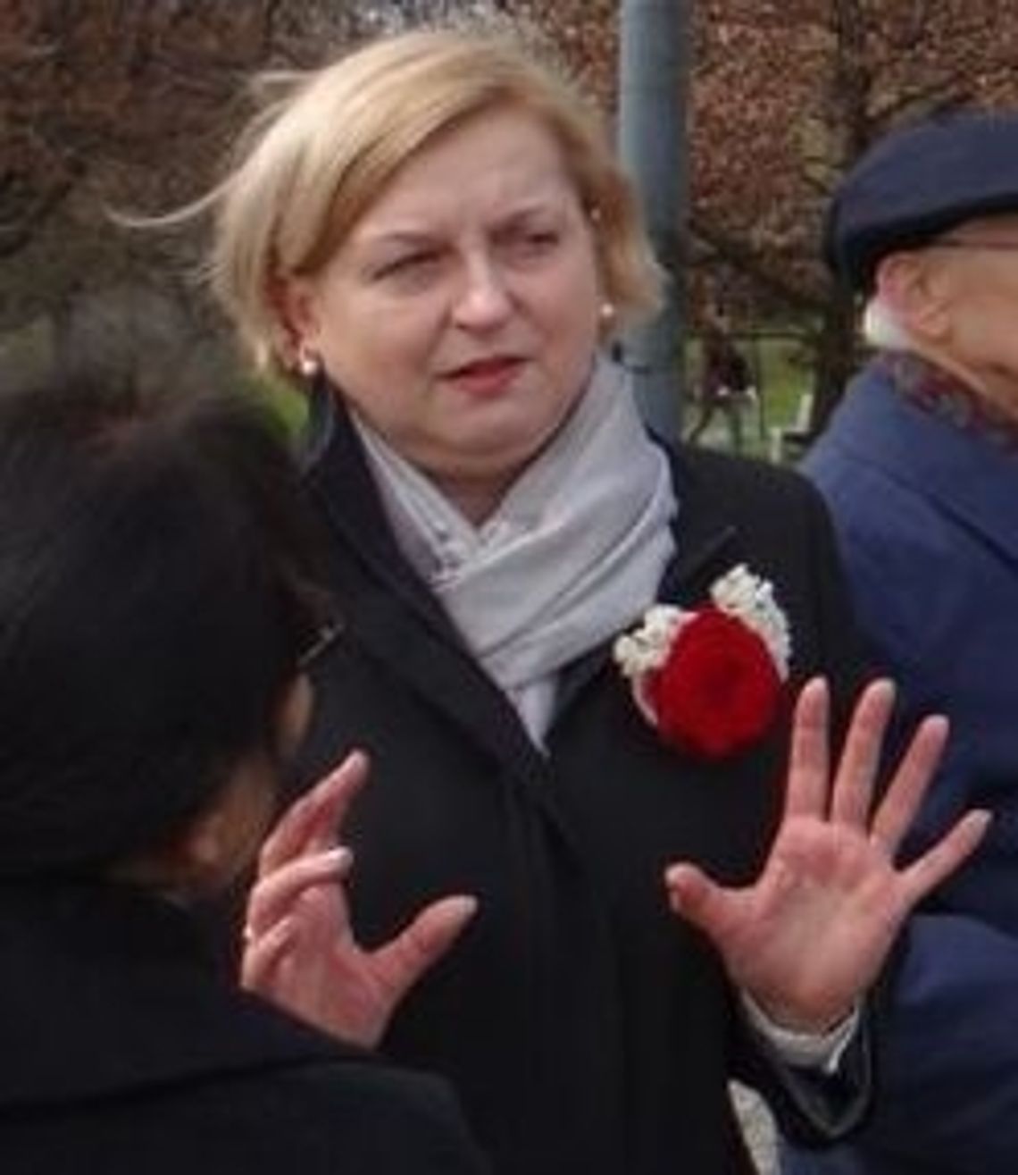 Wybory europejskie po 10 latach