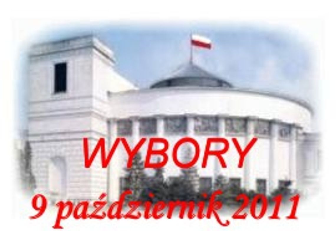 WYBORY. PO wygrywa na Pomorzu. Sportowcy Guzowska i Blanik w Sejmie, Arabski bez mandatu, senatorowie z PO WYBORY. PO wygrywa na Pomorzu. Sportowcy Guzowska i Blanik w Sejmie, Arabski bez mandatu, senatorowie z PO
