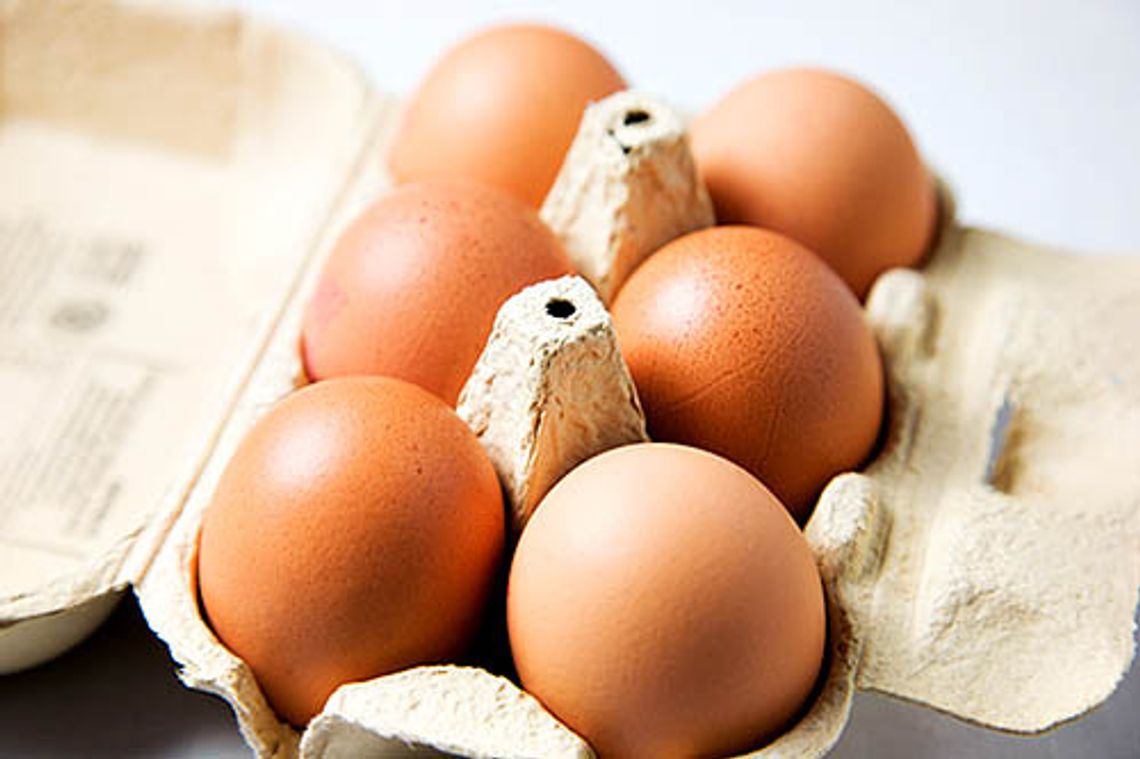 Wycofane jaja z Biedronki. Salmonella w dwóch stadach