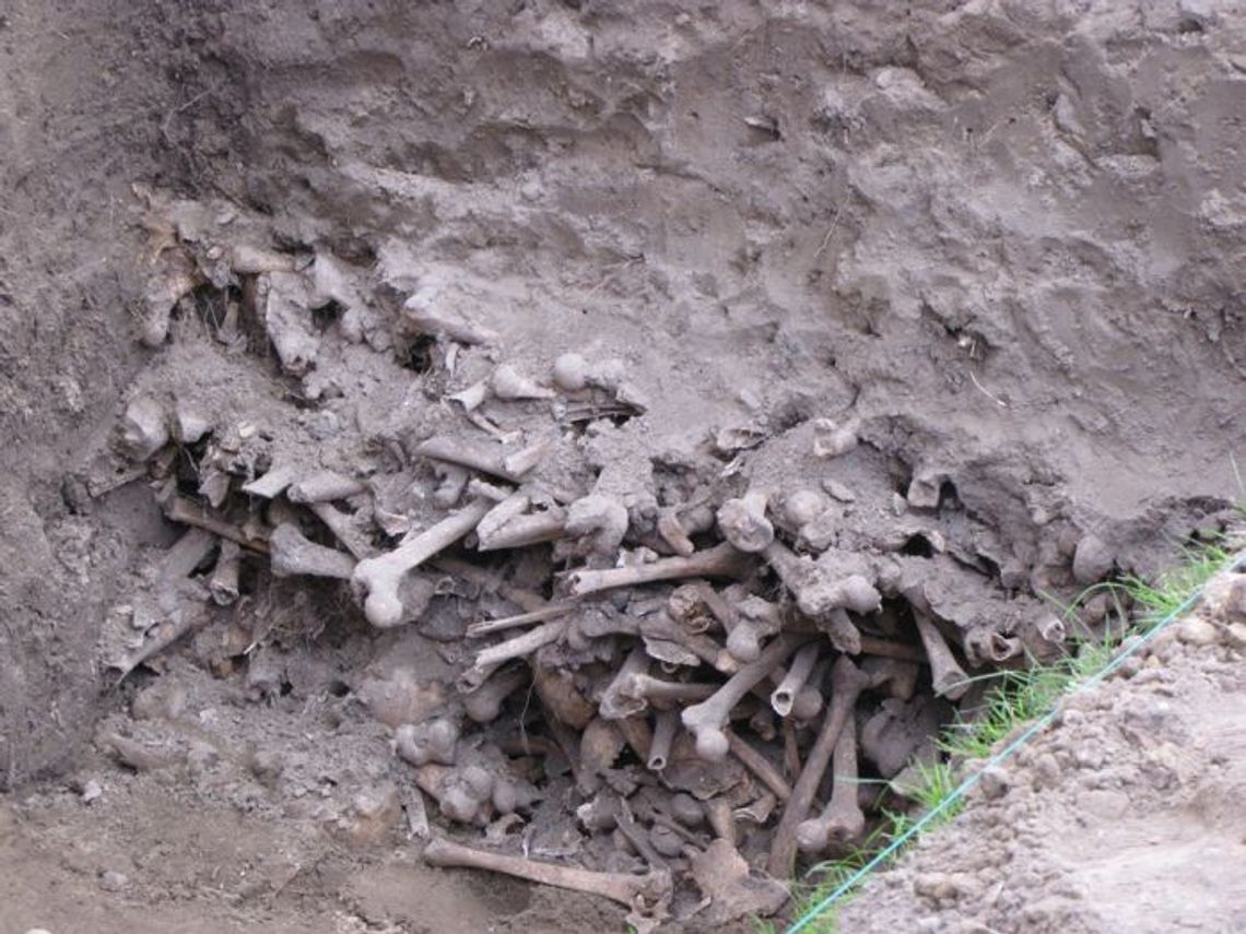 Wykopaliska w kościele. Bogatych gniewian chowano w jedwabiach Wykopaliska w kościele. Bogatych gniewian chowano w jedwabiach