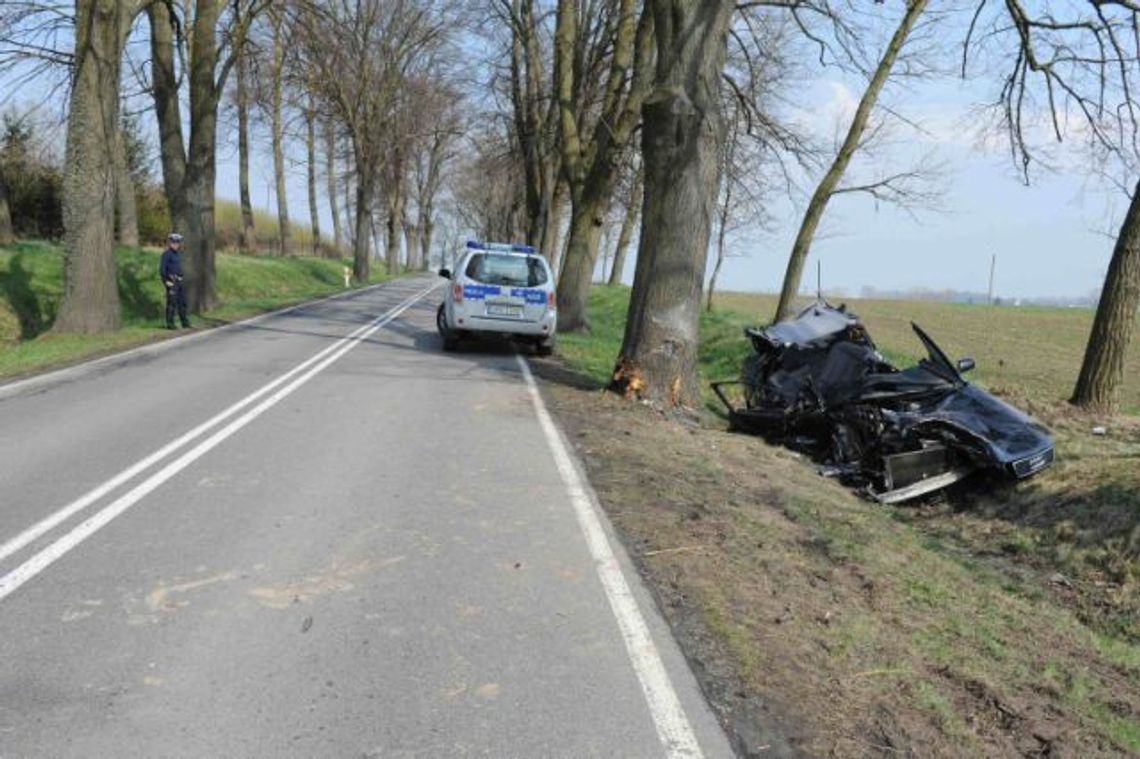 Wypadek pod Dzierzgoniem, prosto w drzewo Wypadek pod Dzierzgoniem, prosto w drzewo