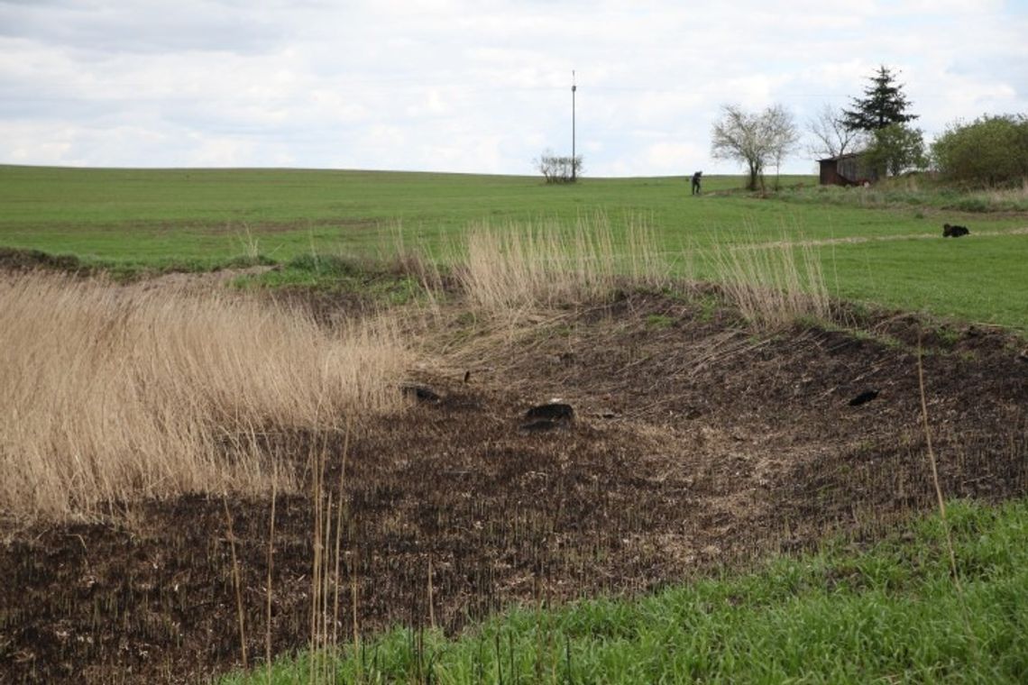 Wyschnięty staw odsłonił swoją tajemnicę Wyschnięty staw odsłonił swoją tajemnicę