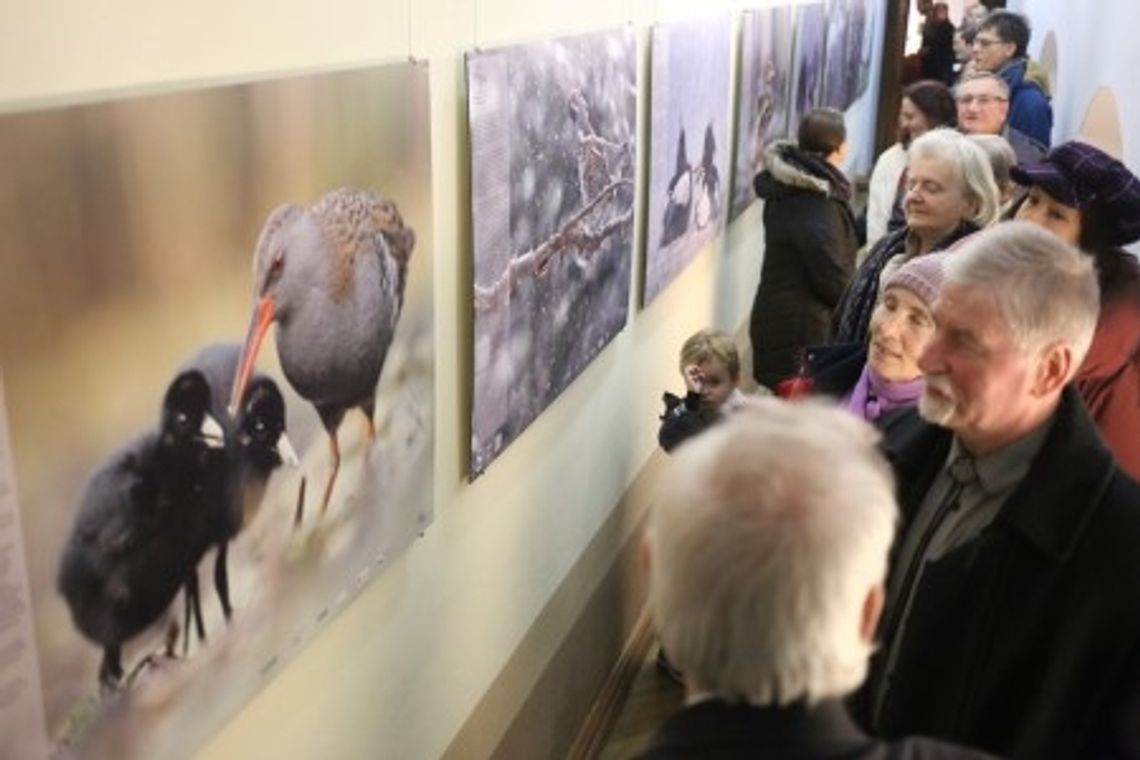 Wystawa fotografii przyrodniczej