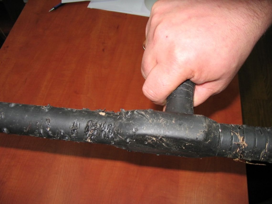 Z amstafem na policjantów Z amstafem na policjantów