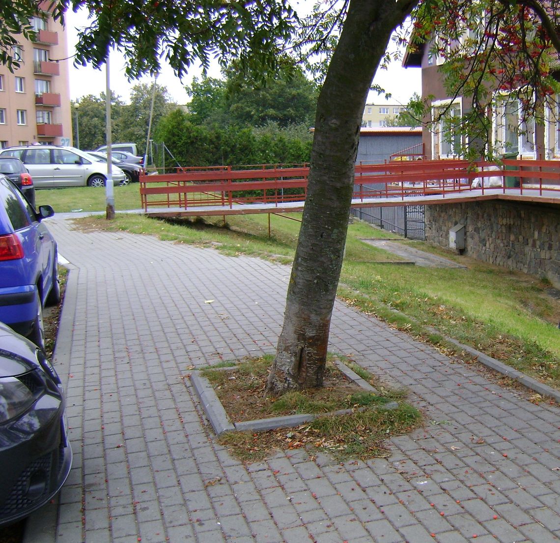 Z jednej skarpa, z drugiej auta, a pośrodku… Kuriozum Z jednej skarpa, z drugiej auta, a pośrodku… Kuriozum