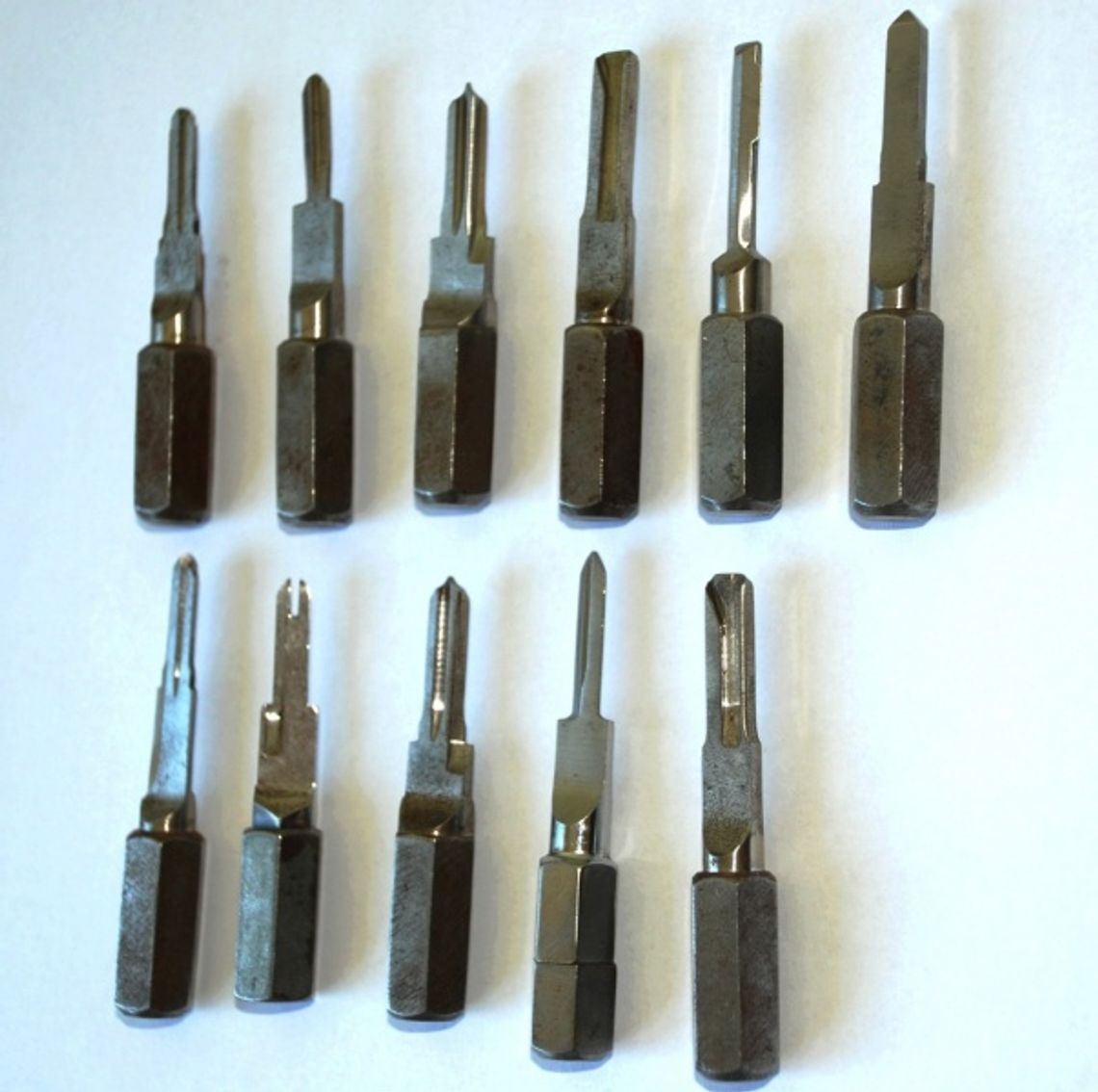 Z łamakami do lasu Z łamakami do lasu